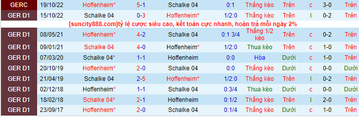 Lịch sử đối đầu Hoffenheim với Schalke