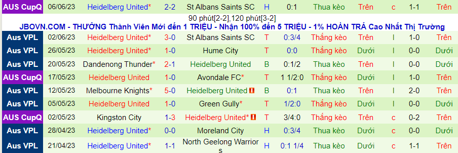 Thống kê 10 trận gần nhất của Heidelberg United